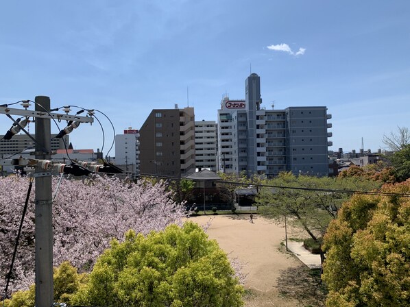 手柄駅 徒歩7分 7階の物件内観写真